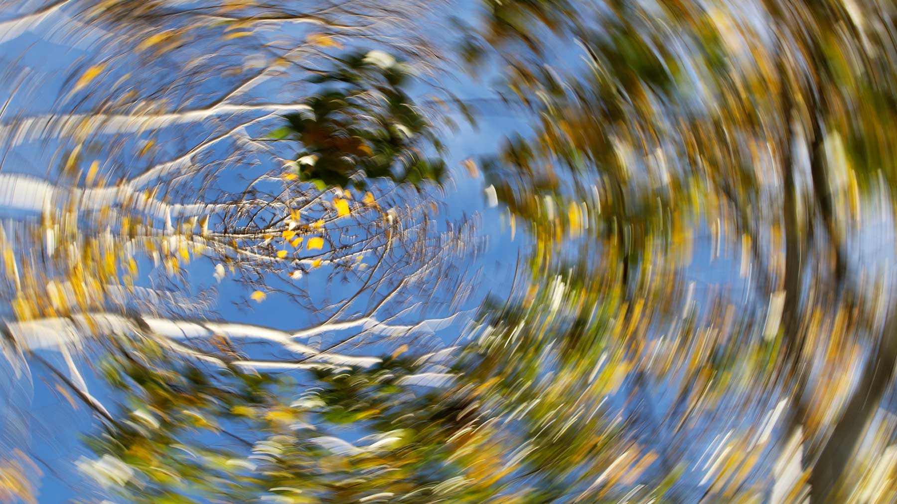 Vertigo photo